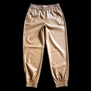 Babaton Aritzia Brown‎ Faux Leather Vegan Jogger Pants Size Small Elasticated
